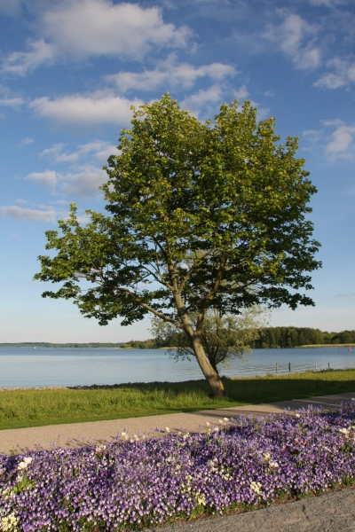 BUGA Schwerin   062.jpg